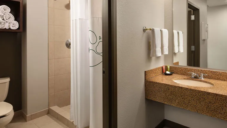 The bathroom in the Grizzly Bear Suite (Accessible shower)