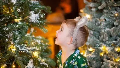Boy looking at a Christmas tree