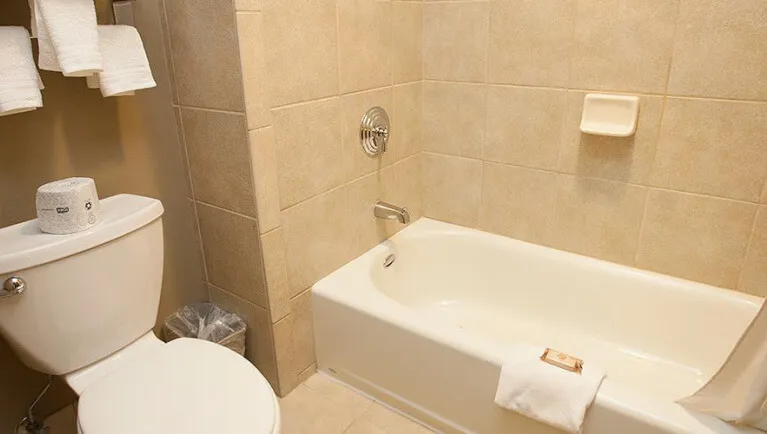 The bathroom in the Luxury King Suite (Balcony/Patio)